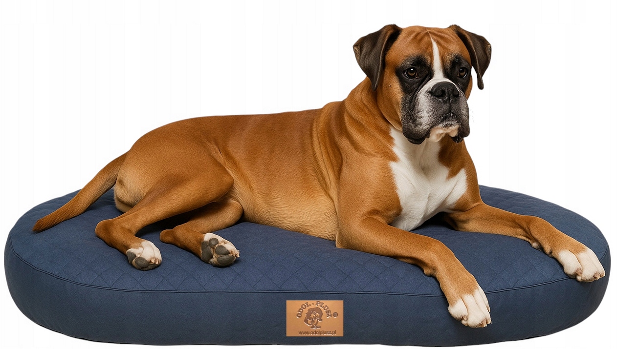 Levně Pelíšek Lehátko Pro Psa Pohodlná Matrace, Potah, Spaní 100x65x17