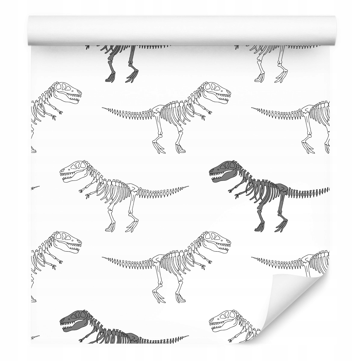 Tapeta pro děti Dinosauři kostry zvířata