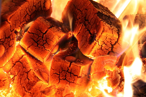 Brykiet RUF Kominkowy Drzewny Ekologiczny EKO 10KG EAN (GTIN) 129626435581