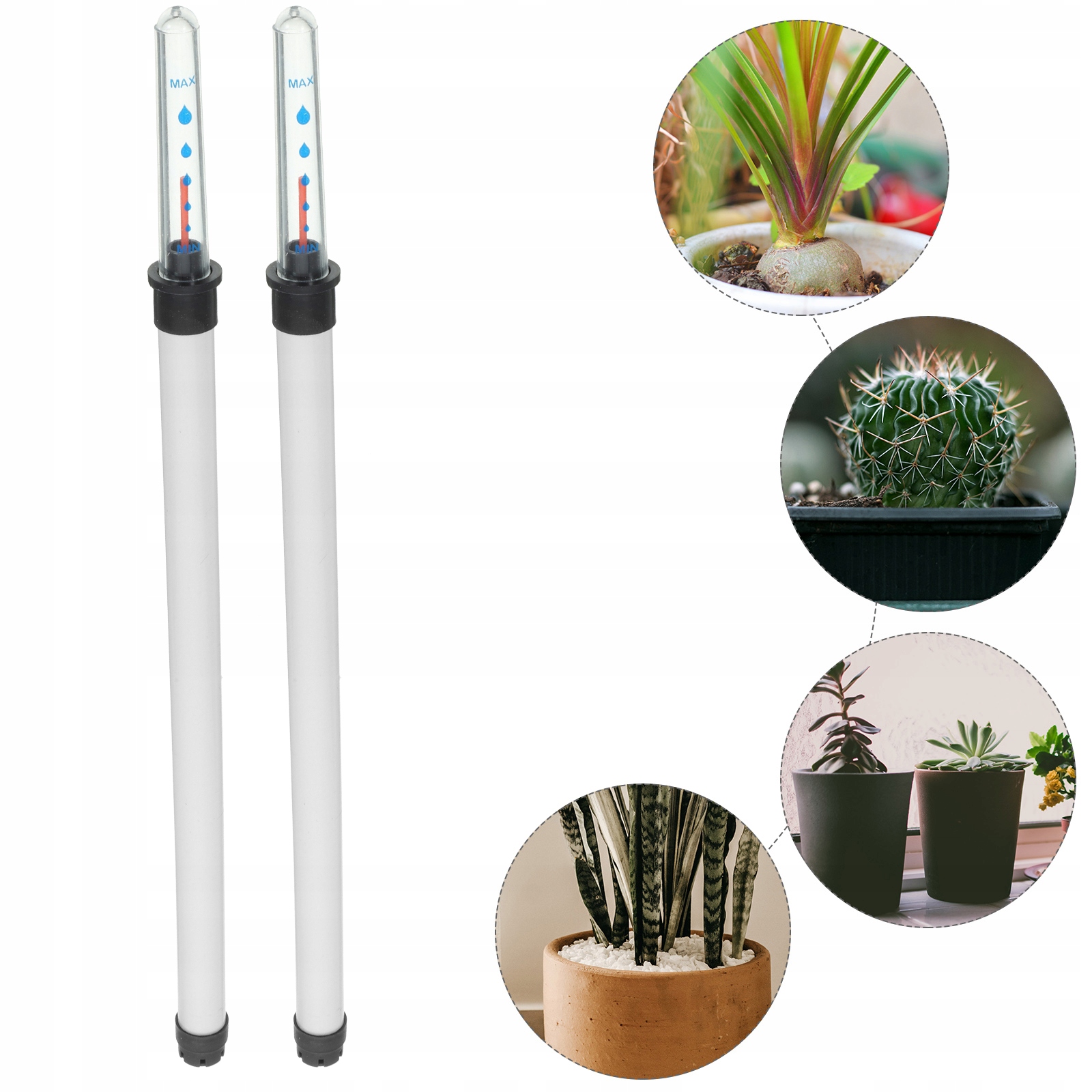 WSKAŹNIK POZIOMU WODY HYDROPONIKA ROŚLINY WEWNĘTRZNE Kod producenta 15113303