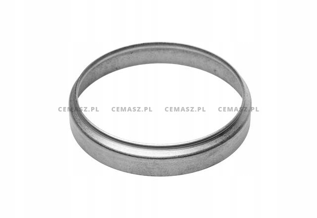 Pierścień ORYGINAŁ ZF 100x103x18