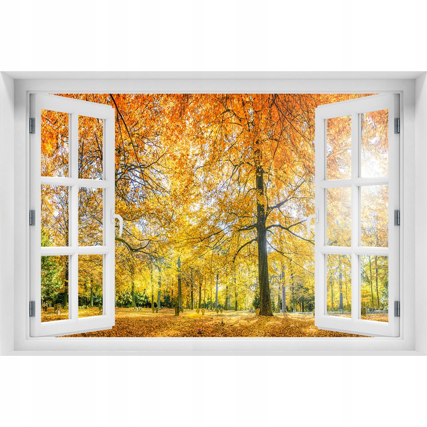 

Naklejka fototapeta Okno Las jesienią 150x100