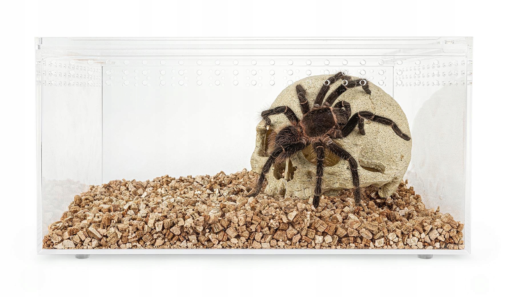 Levně Akrylové terárium 30x20x15 cm