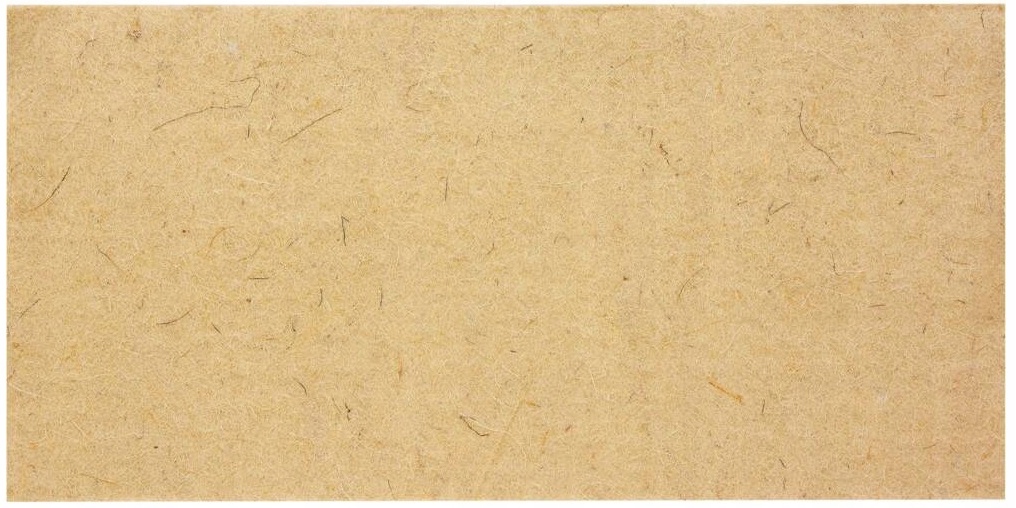 VOREL - PACA Z FILCEM DO WYRÓWNYWANIA TYNKOWANYCH POWIERZCHNI - 270x130MM Marka Vorel