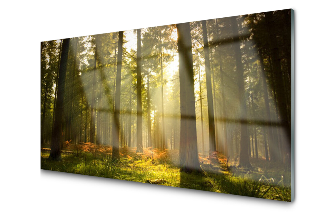 

Panel szklany dekor Las Dekor 120x60 + Klej