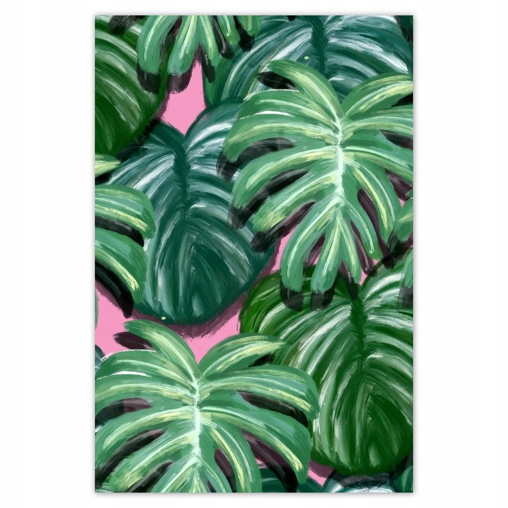 

Plakat 62x93 Monstera Liście liść
