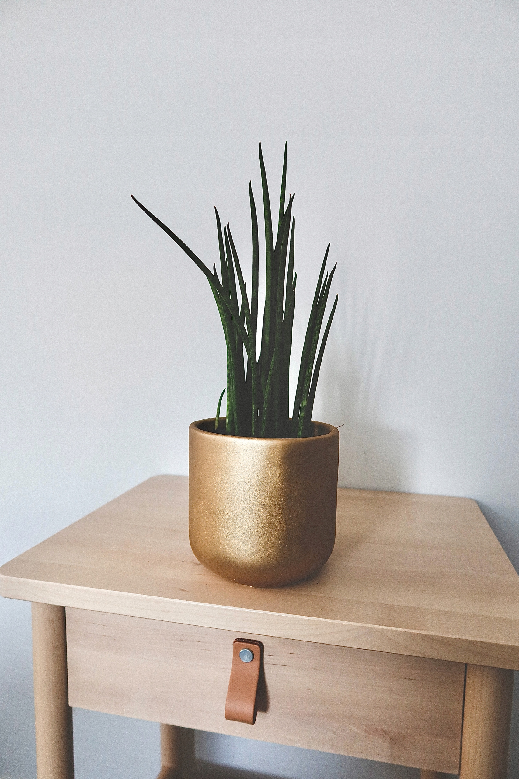 Doniczka betonowa 17cm czekoladowa lakierowana Marka inna