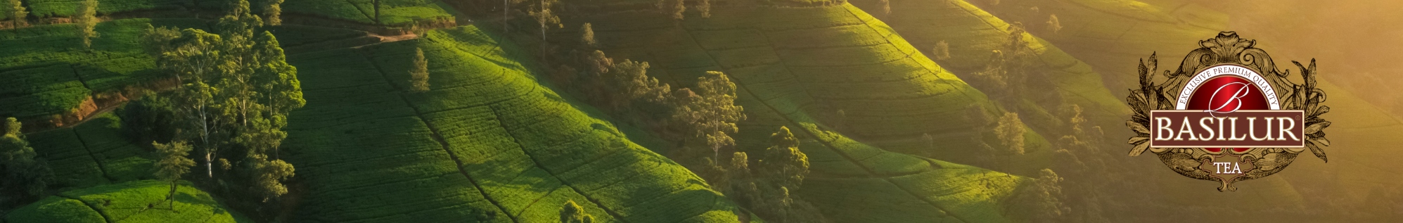 Filtry PAPIEROWE do PARZENIA herbaty ZESTAW 100szt Materiał inny