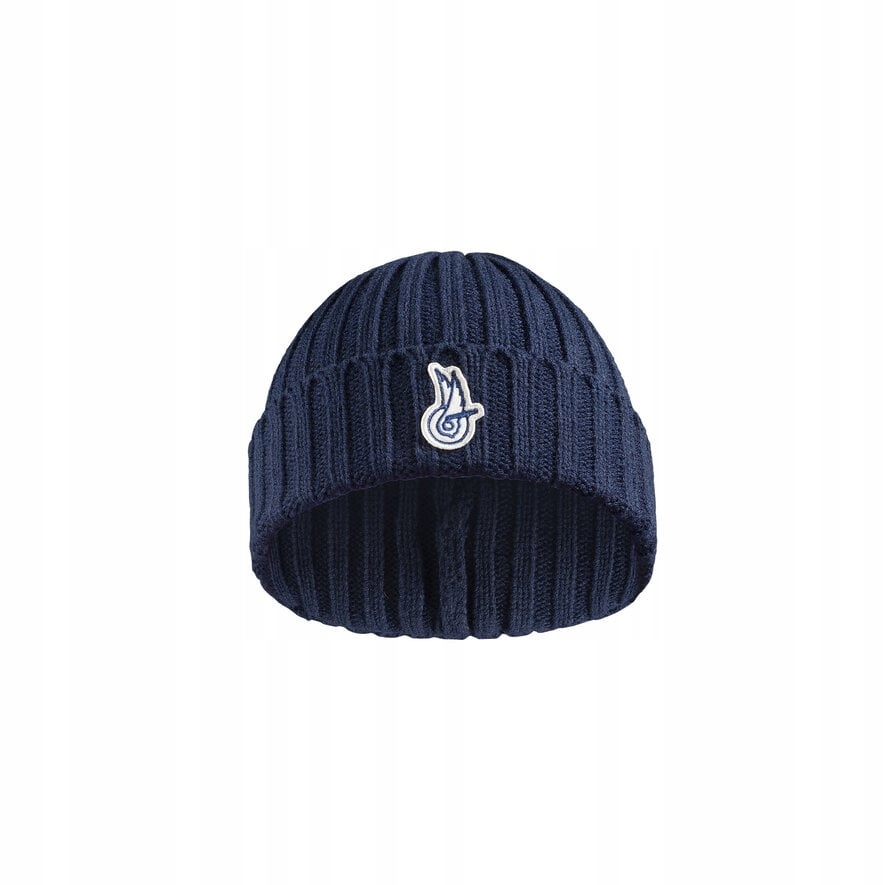 Čepice Campagnolo Winged Wheel Logo modrá
