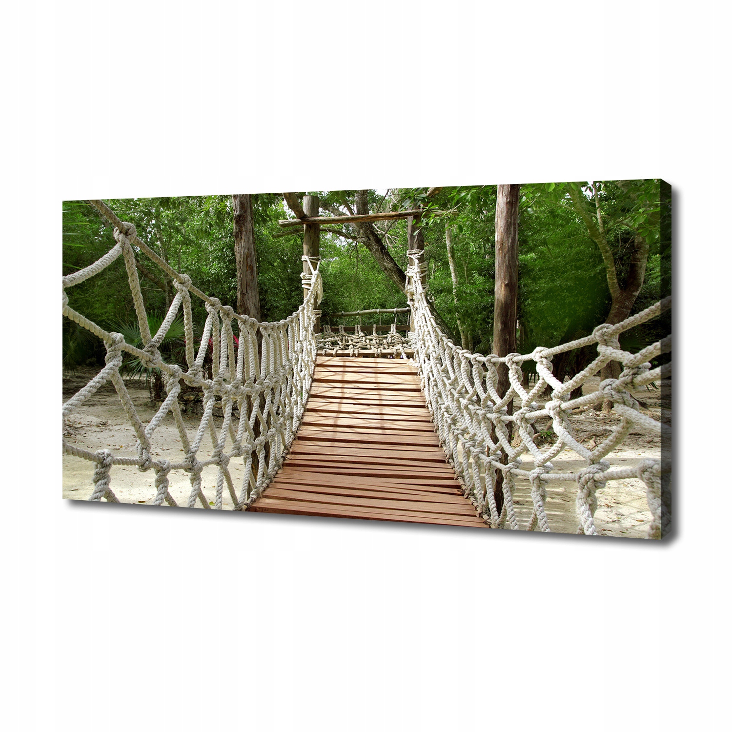 

Foto obraz canvas na ścianę Most linowy 140x70 cm