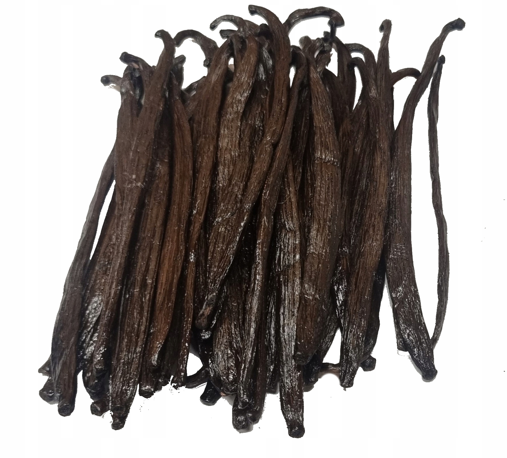 Wanilia laska Madagascar Bourbon 50g Kera