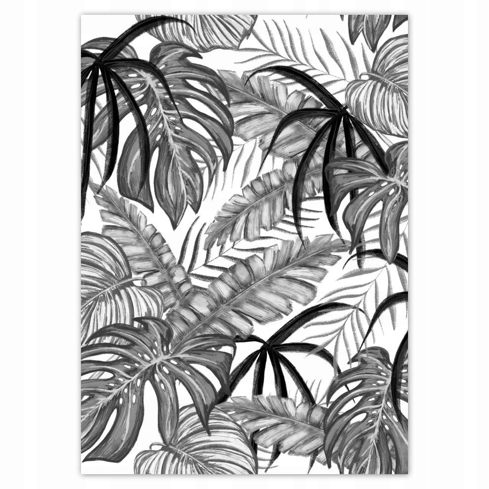 

Naklejki 50x70 Monstera Zielony liść