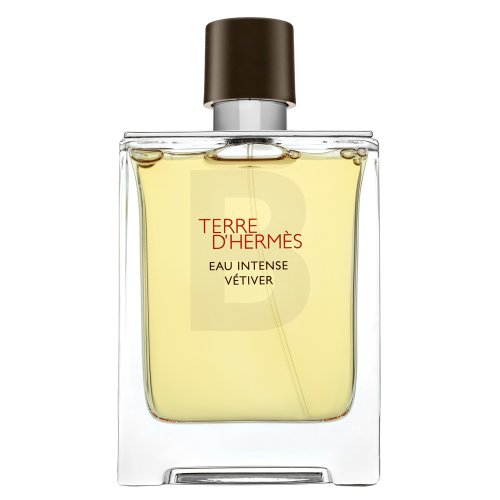 Hermès Terre D'Hermes Eau Intense Vetiver parfémovaná voda pro muže 100 ml