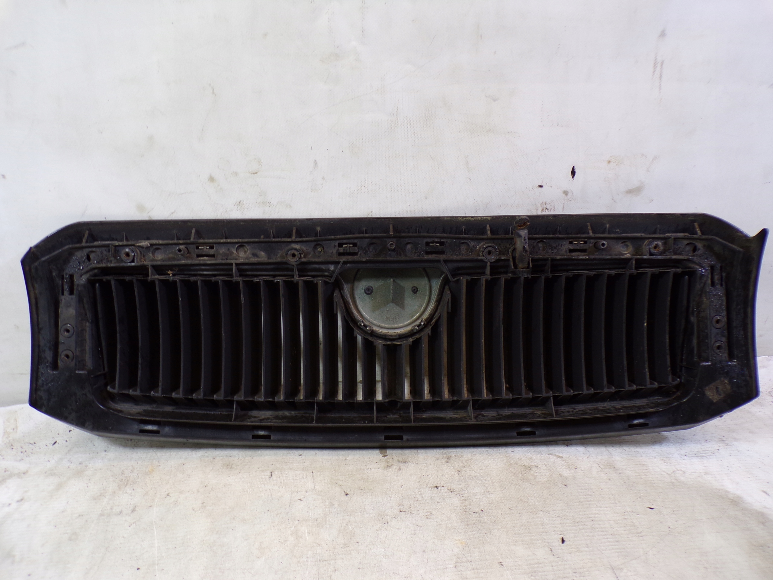 Griglia GRIGLIA radiatore SKODA FABIA 1 e colore 1F9R