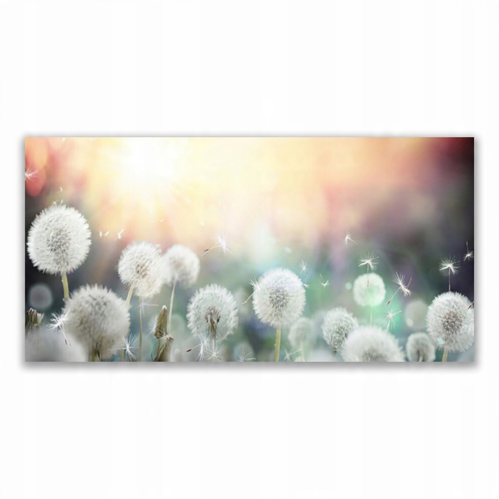 

Fotoobraz na ścianę 120x60 Dmuchawce Kwiaty Natura