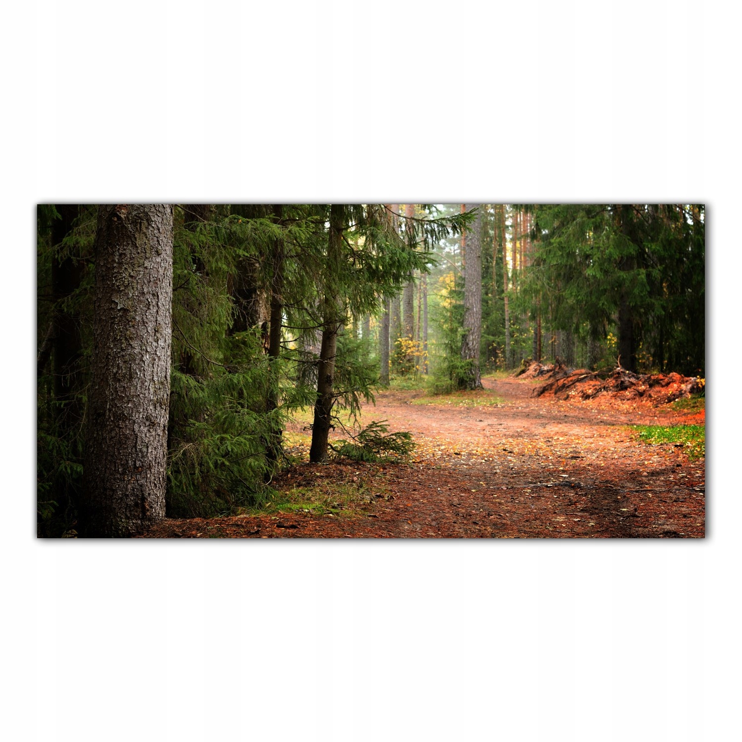 Obraz na skle Foto Podzim Les Krajina 120x60