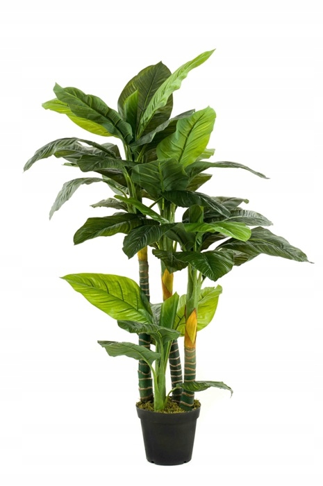 

sztuczny duży skrzydłokwiat 160 cm Spathiphyllum