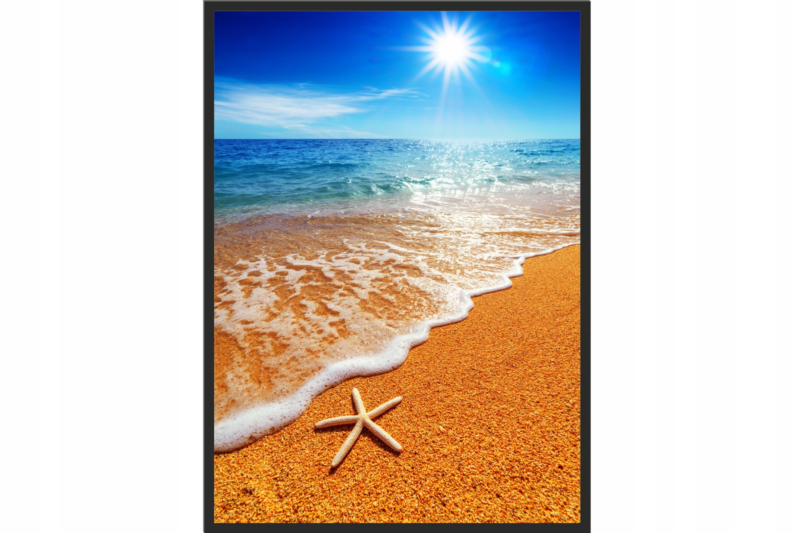 

Obraz plakat 40x30 plaża rozgwiazda na plaży ocean