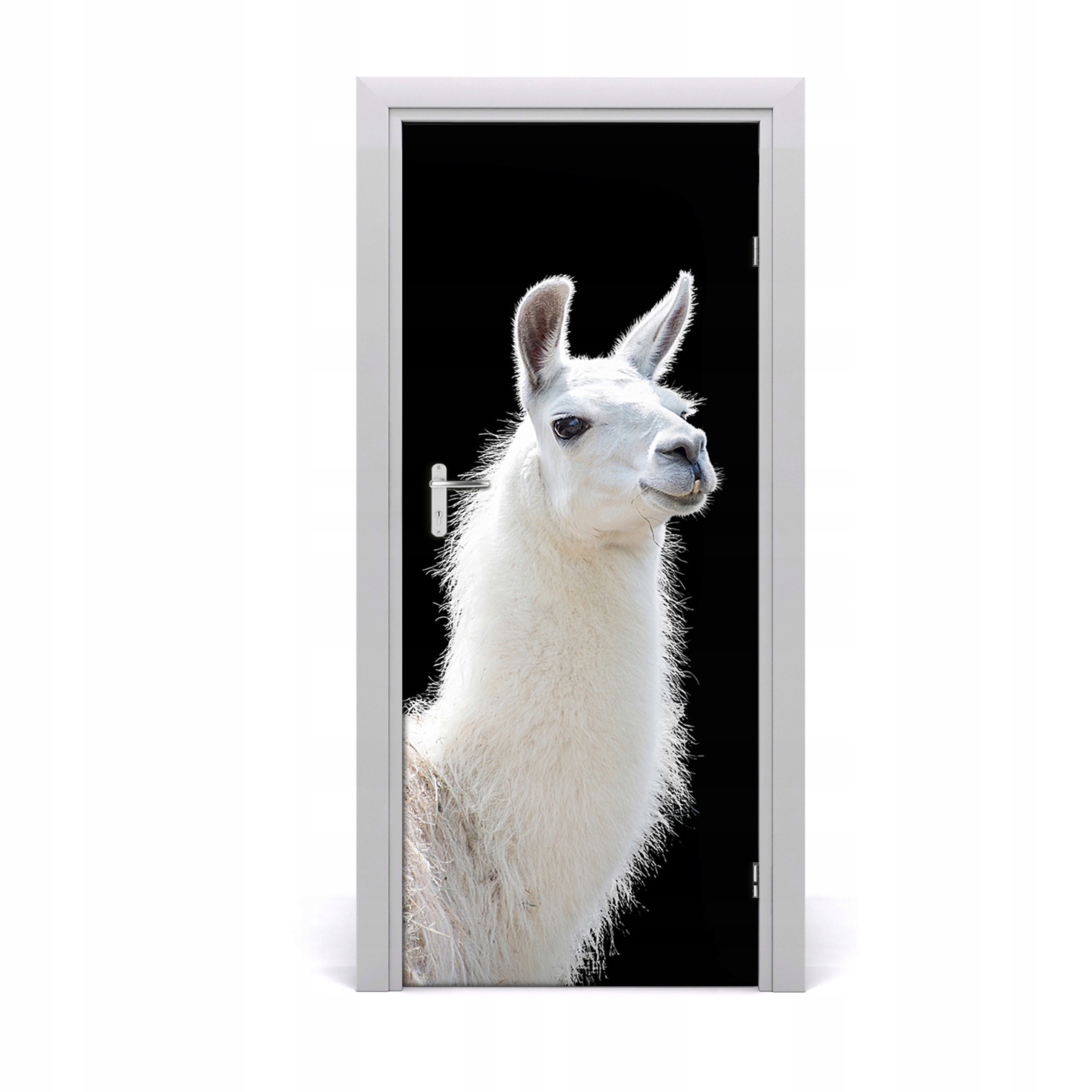

Fototapeta samoprzylepna na drzwi Biała lama