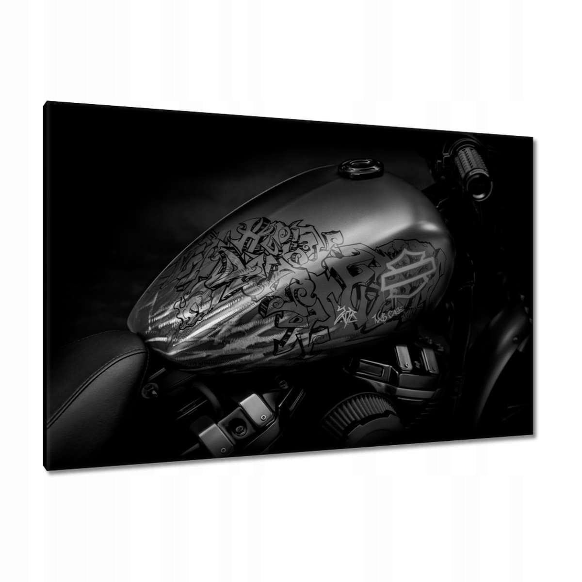 Obrazy 120x80 Harley Davidson Motocykl