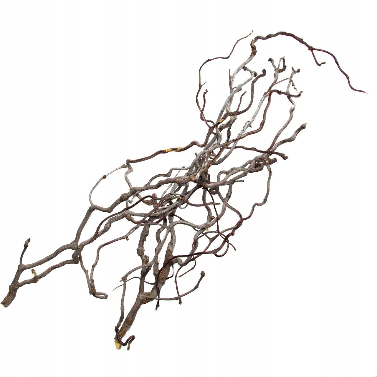 Levně Dekorativní Kořen Willow Wood Pro Akvárium Přírodní Dřevo Ozdoba 1 Kg