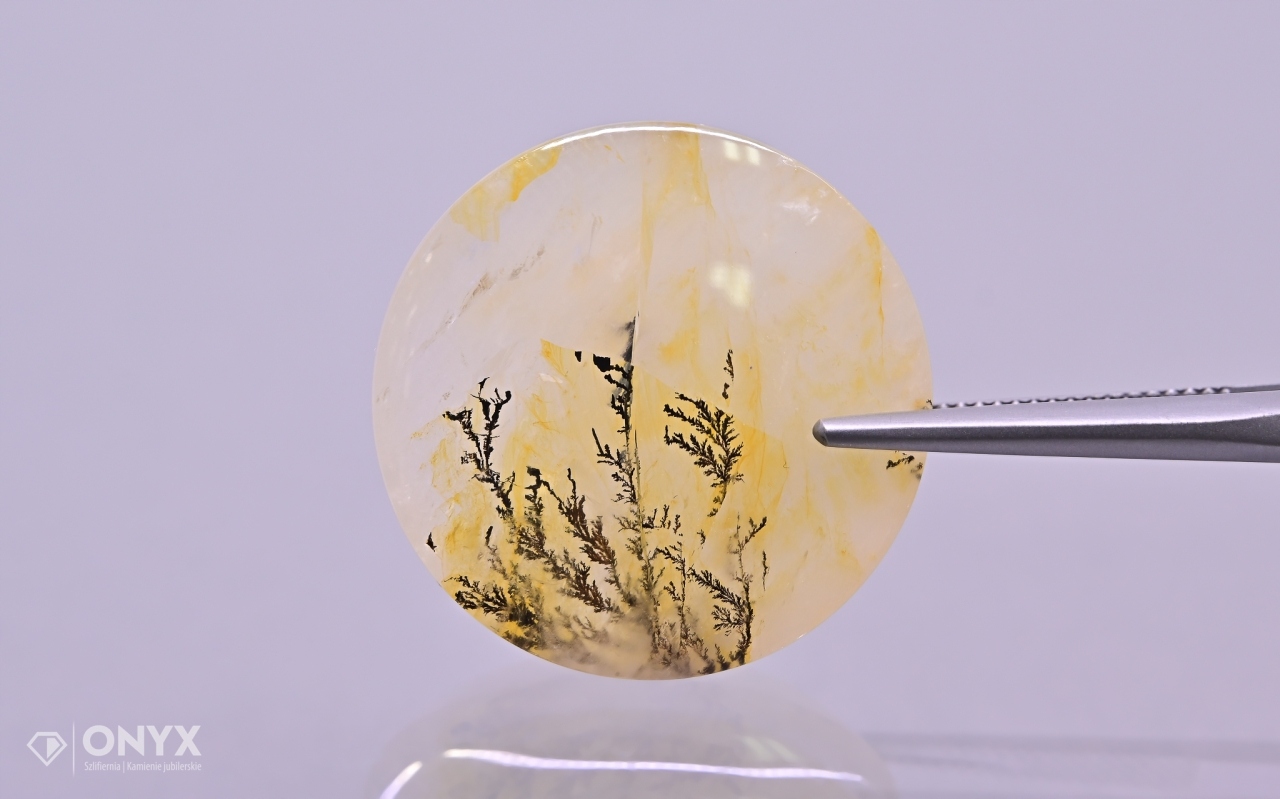 Dendritový křemen konvexní destička kulatá fi 26 mm