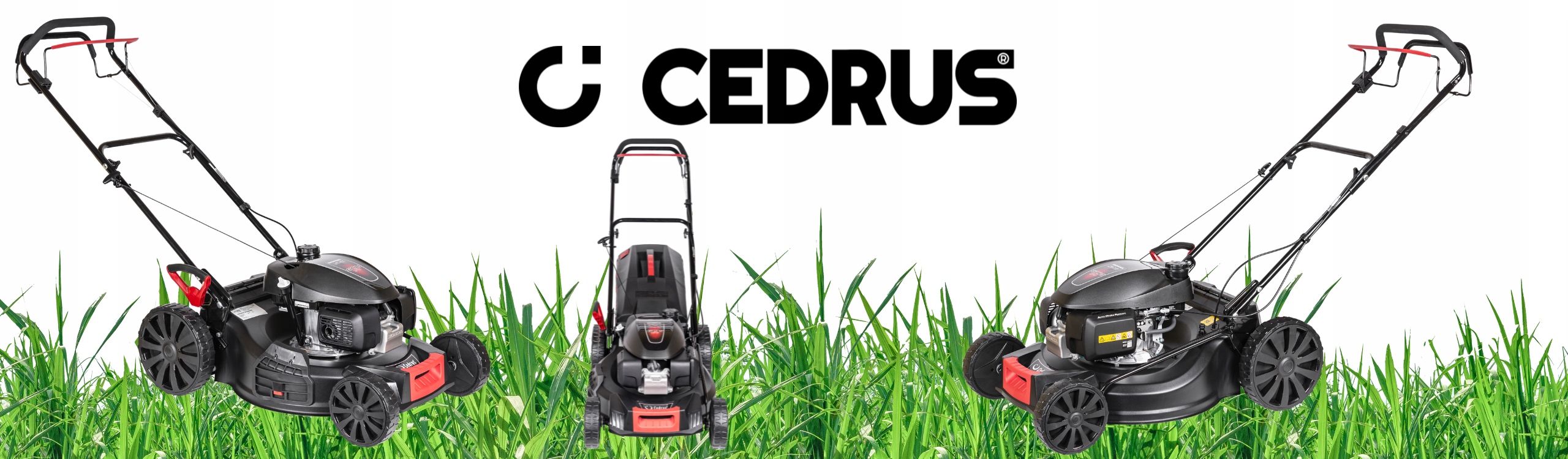 Kosiarka spalinowa HONDA Cedrus 170 cm³ 3w1 z napędem 2x Olej Vegatol Pojemność silnika 170 cm³
