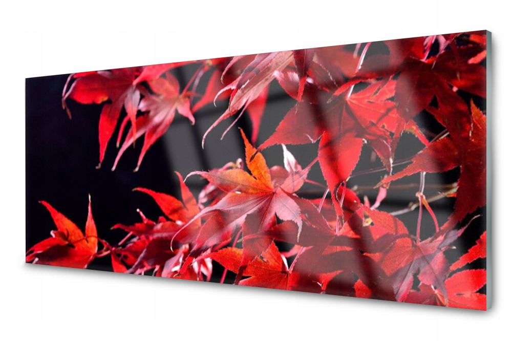 

Panel szklany do kuchni Liście Roślina 125x50