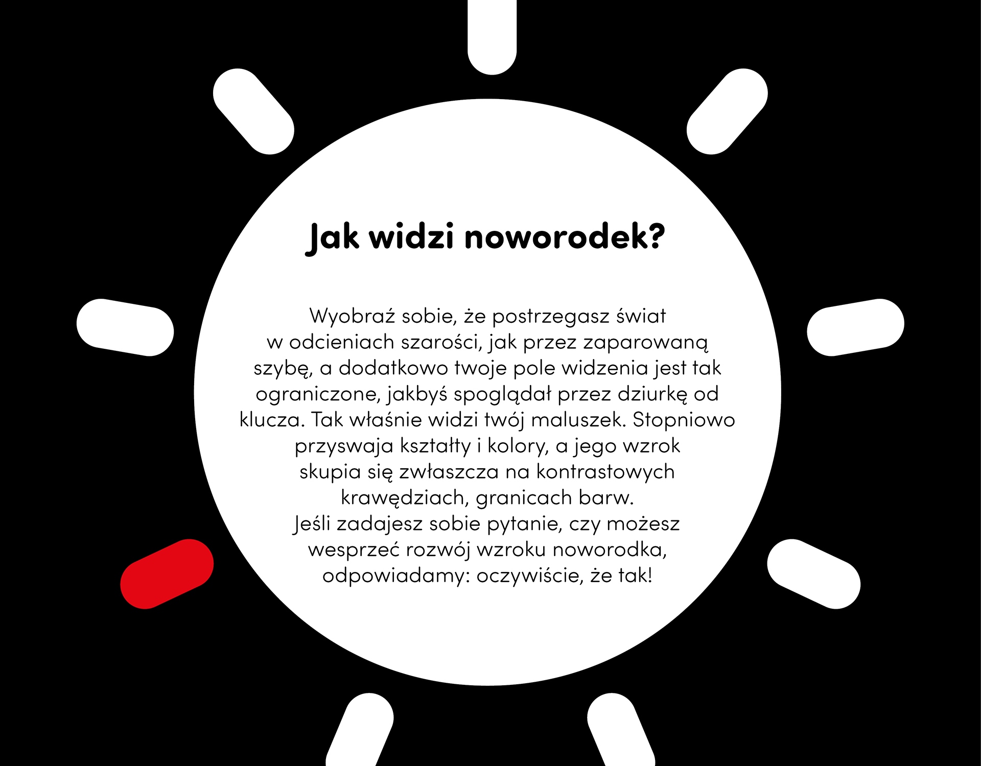 CzuCzu Starter Malucha KSIĄŻECZKI KONTRASTOWE 0 m+ Marka CzuCzu