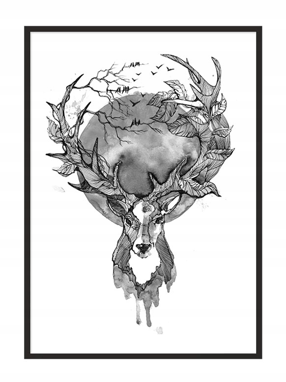 

Obraz Plakat W Ramie 53x73 cm Jeleń P770