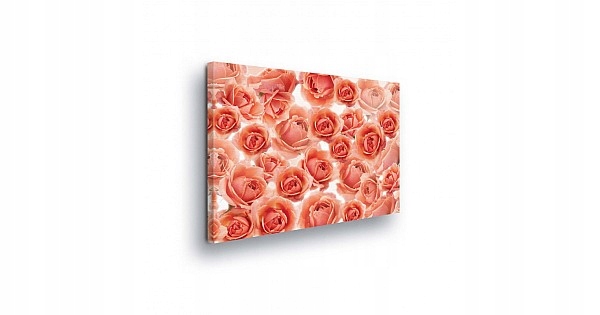 Obraz 100x75 Růže růžové koberec květinová jemnost jaro dekorace stěn