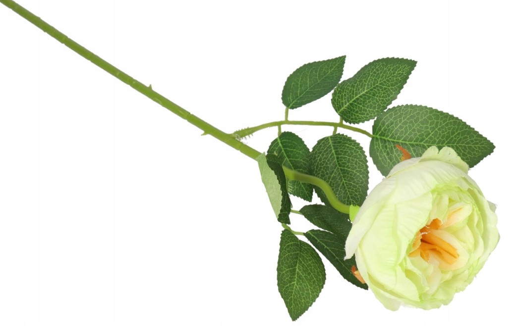 SZTUCZNE KWIATY ROŚLINY PIWONIA PEONIA POJEDYNCZA EAN (GTIN) 5904316618759