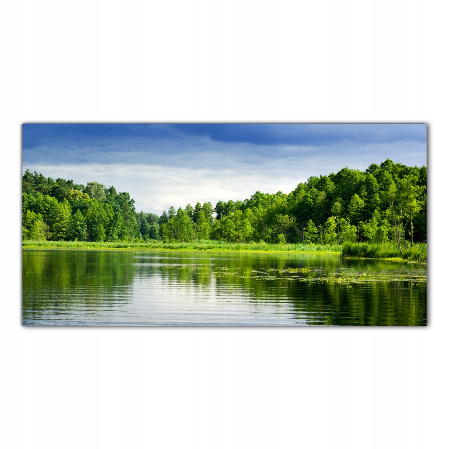 

Obraz Szklany Foto-obraz Jezioro Natura Las 100x50