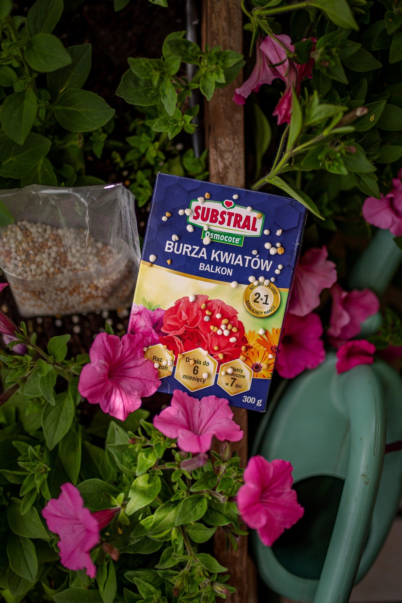 SUBSTRAL NAWÓZ OSMOCOTE BURZA KWIATÓW DO PELARGONII SURFINII FUKSJI 300 G EAN (GTIN) 9002755514499