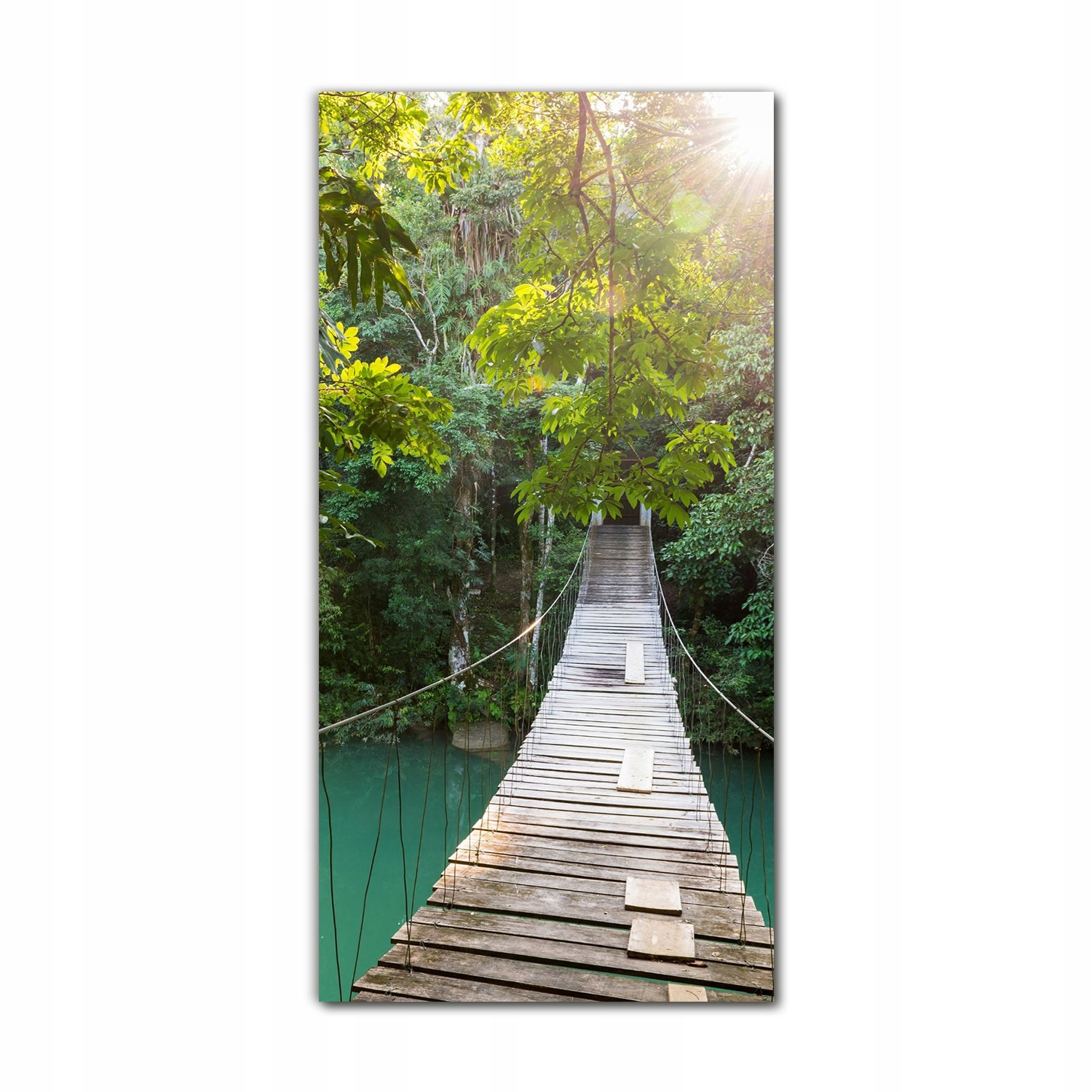 

Obraz na szkle na ścianę 70x140 cm Las tropikalny