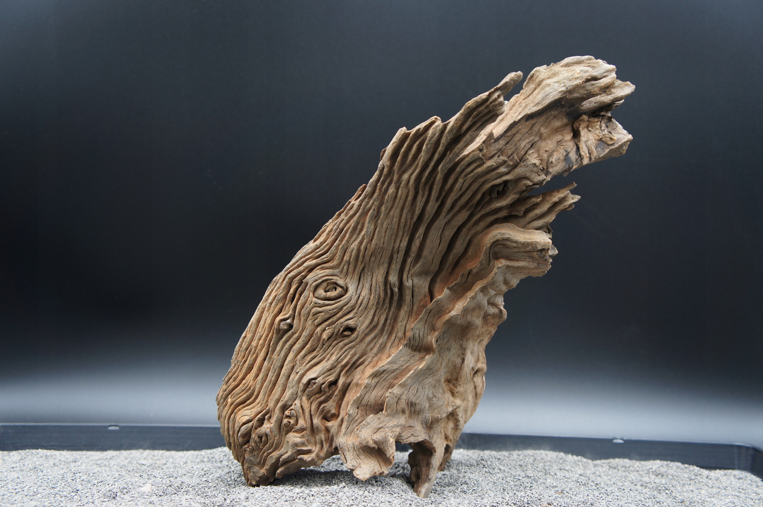 Levně Kořen pro terarijní akvárium jagged wood 32 cm Ten, Který Je Na Obrázku (J33)