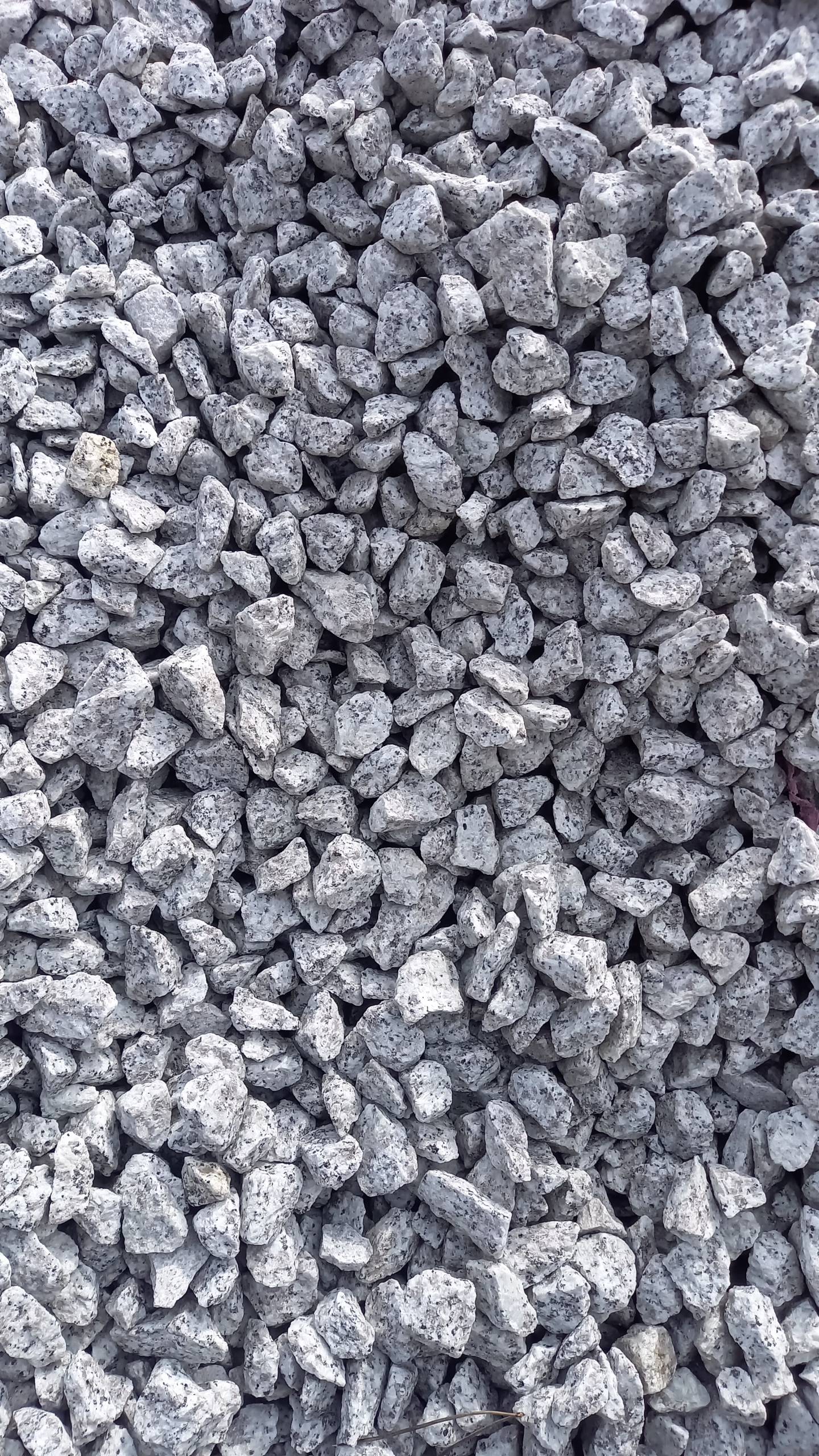 

Grys Granitowy Kamień Ogrodowy Dalmatyńczyk 15kg