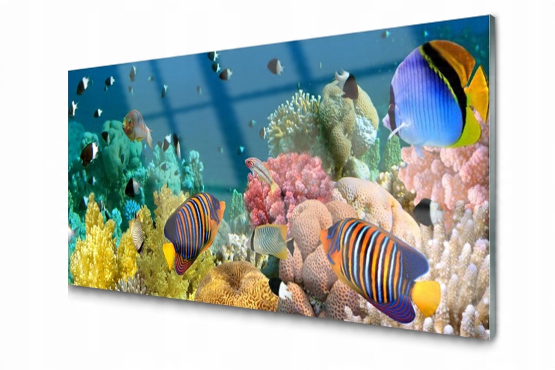 

Panel szklany dekoracyjny Rafa Koralowa 100x50