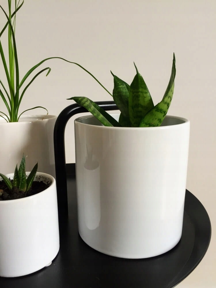 DONICZKA OSŁONKA CERAMICZNA WALEC BIAŁY DO KWIATÓW PREZENT Materiał ceramika