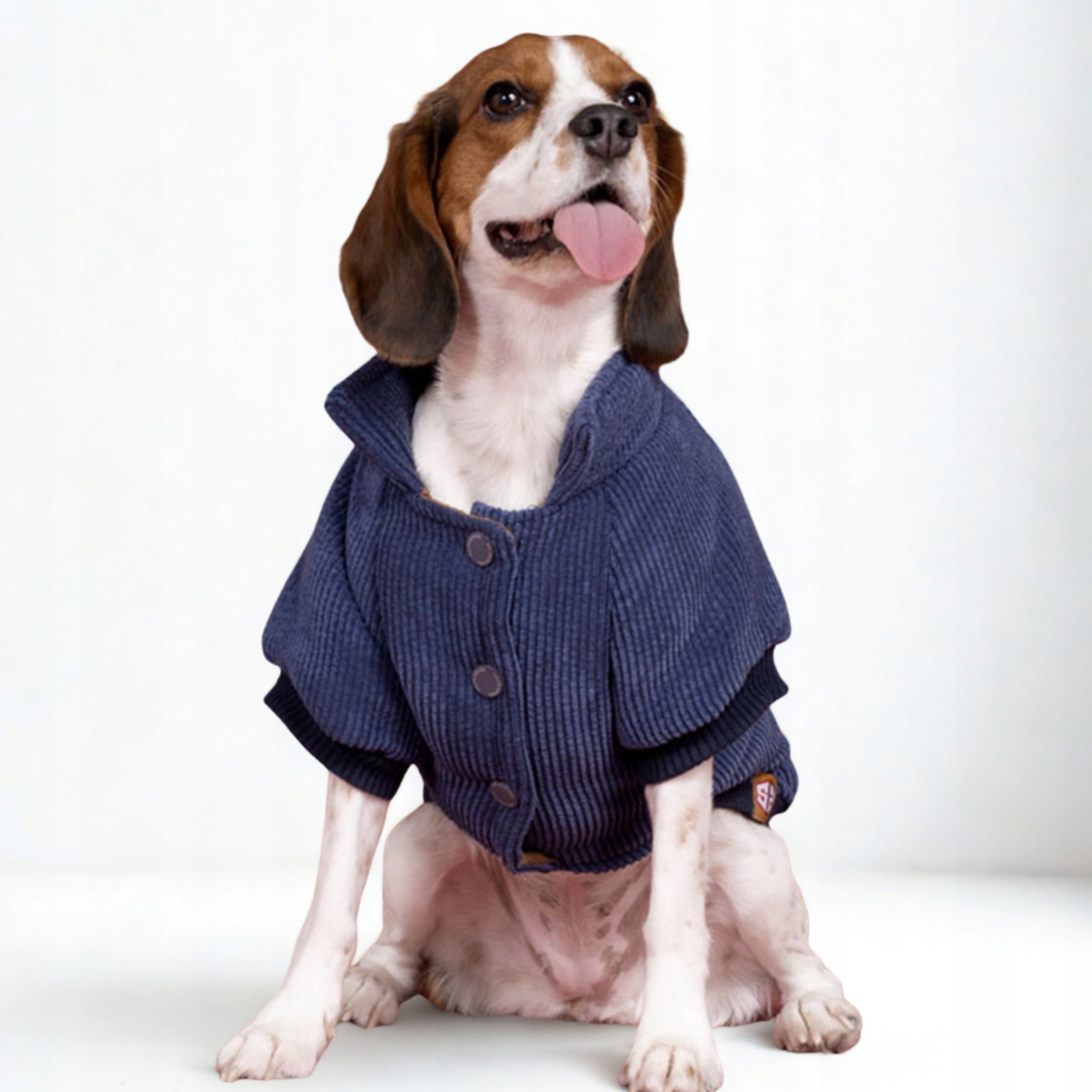 Levně Šusťáková Zateplená Bunda Pro Psa, Modrá, Knírač XL