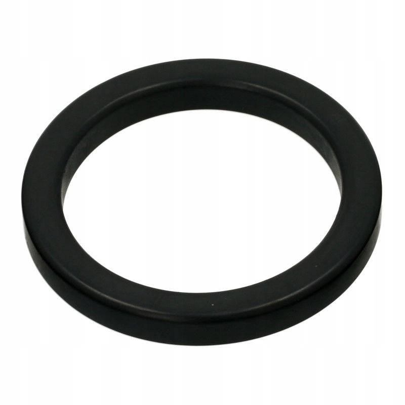 Gaggia uszczelka głowica kolbowy