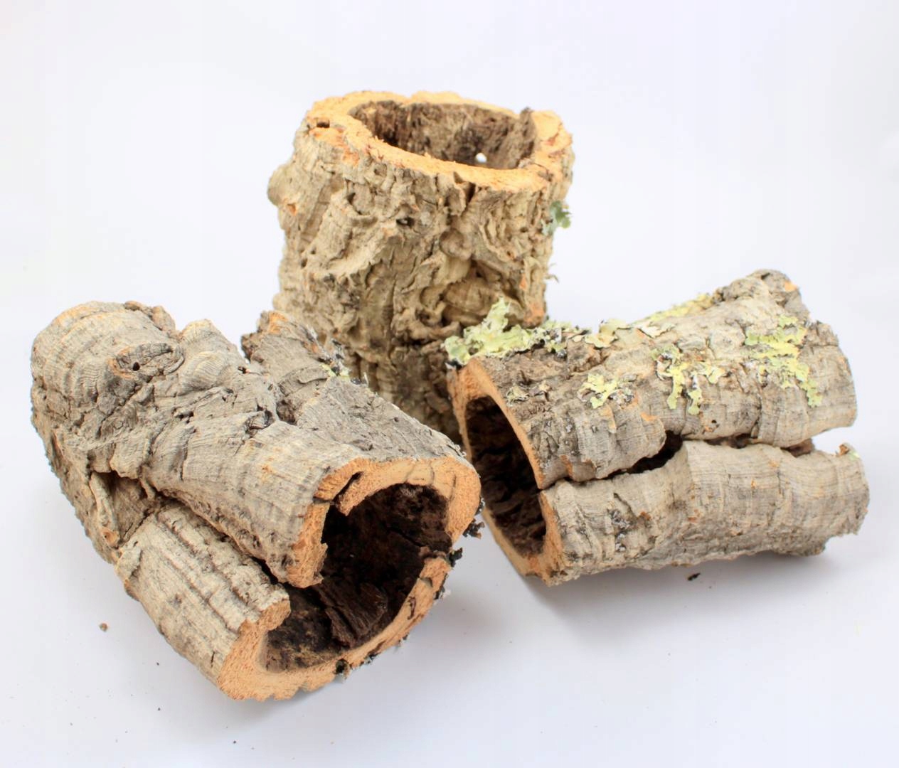 

Tuba Korkowa 13cm x 20cm