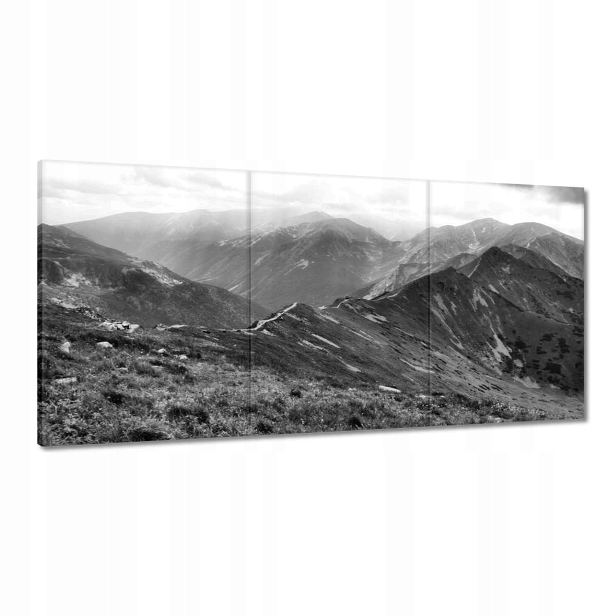 Obrazy 120x60 Tatry Polské hory Pohled