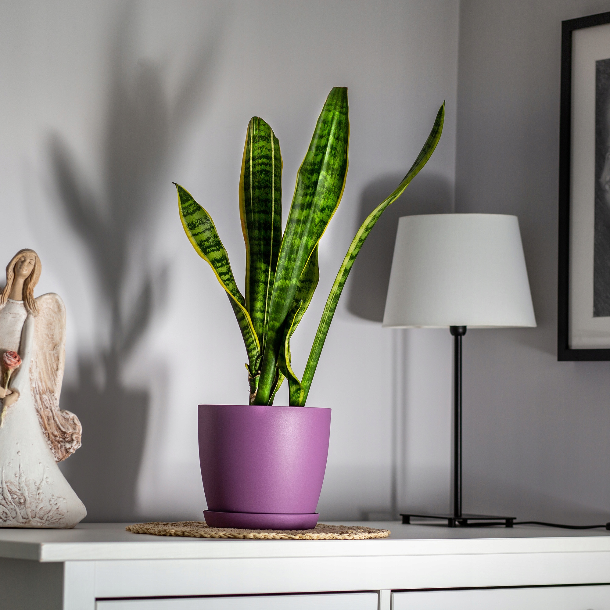 DONICZKA OSŁONKA DONICA 14cm NA KWIATY Z PODSTAWKĄ FIOLETOWA DO SALONU Marka Kadax