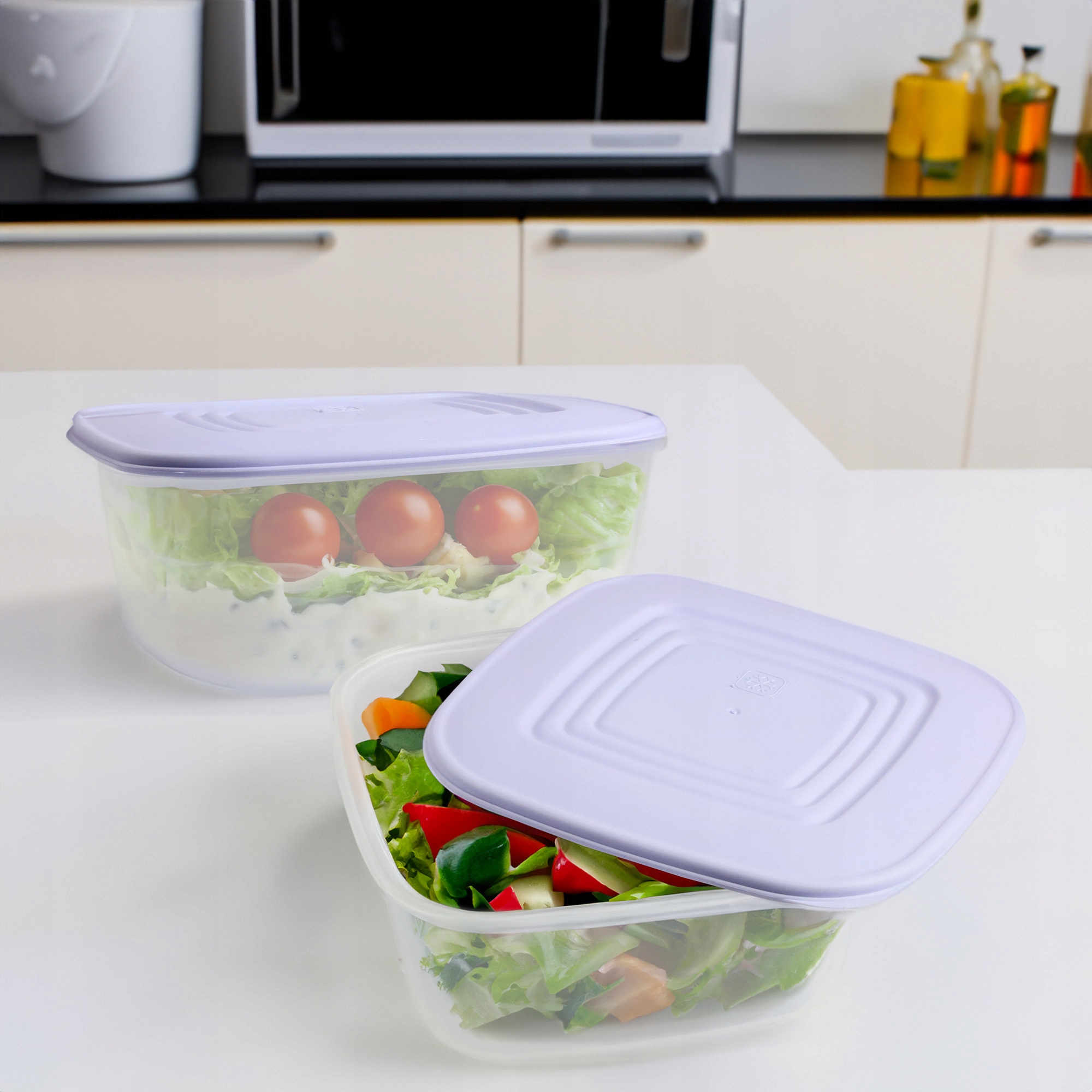 PLASTIKOWY POJEMNIK Z POKRYWKĄ DO PRZECHOWYWANIA ZAMRAŻANIA ŻYWNOŚCI 3L