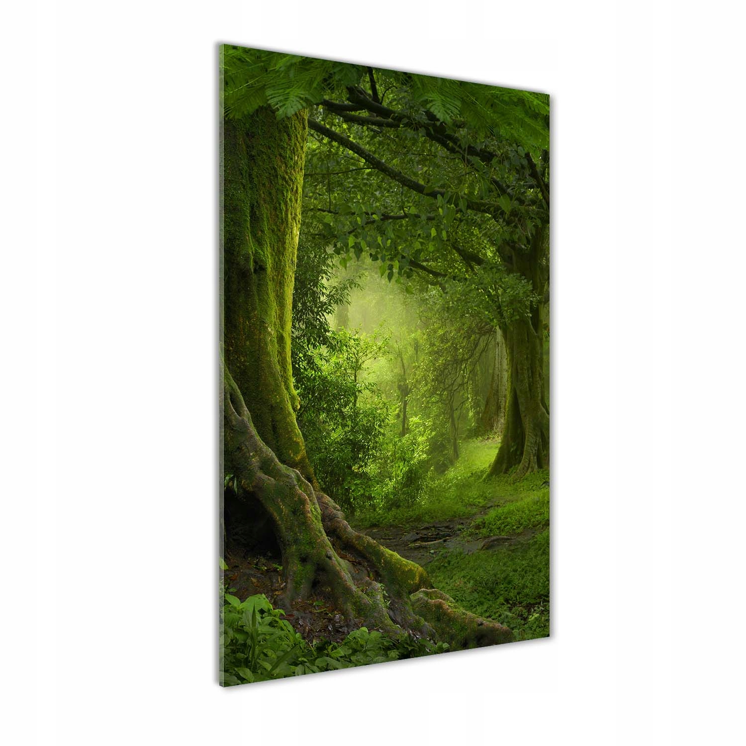 

Foto obraz akrylowy Tropikalna dżungla 60x120 cm