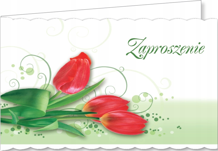 

Zaproszenie uniwersalne na imprezę mix10szt ZACZ85