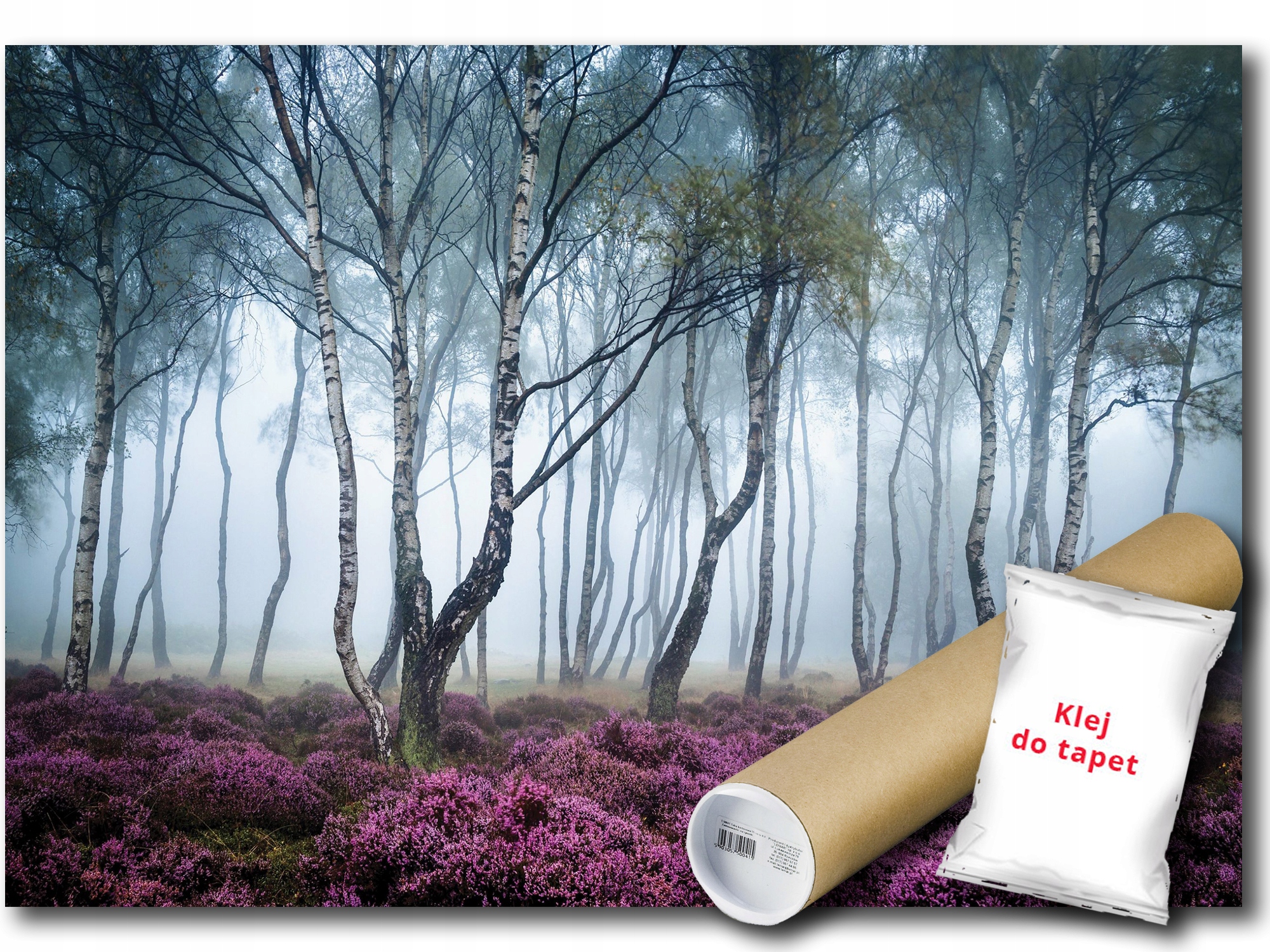 Vinylová Fototapeta Les Breza Vres 416x254