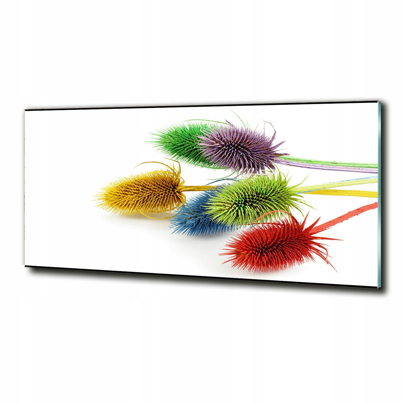 

Foto szklany na ścianę obraz Oset kwiaty125x50