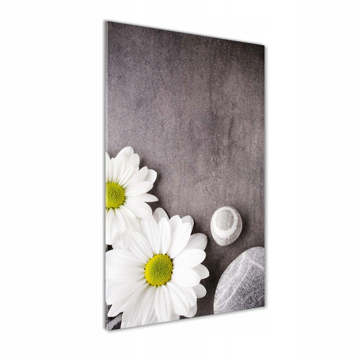 

Foto obraz akrylowy na ścianę Gerbera 70x140 cm